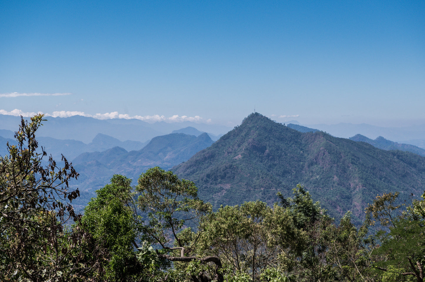 Inspheration Espresso, Colombia & Guatemala