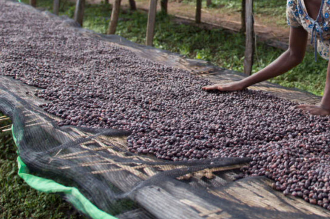 Tarekech Werash Filter, Ethiopia