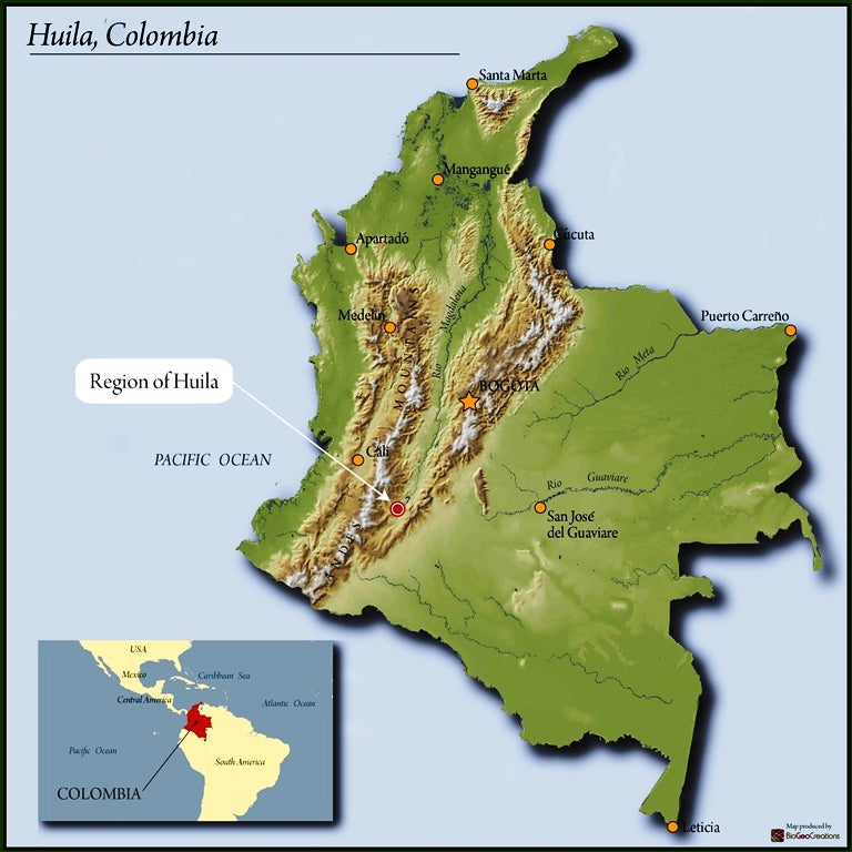 El Bombo Espresso, Colombia (Organic)