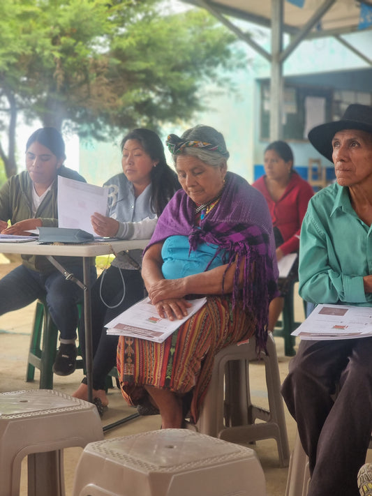 Primavera Sisterhood Filter, Guatemala