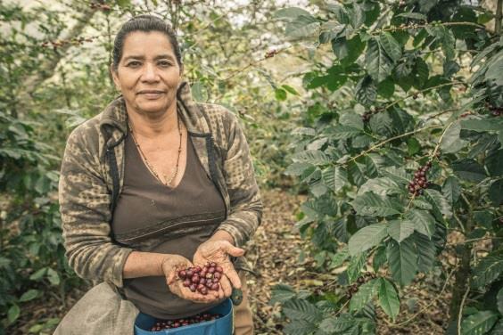 Inspheration Espresso Blend, Honduras & Colombia (Organic, Fair Trade)