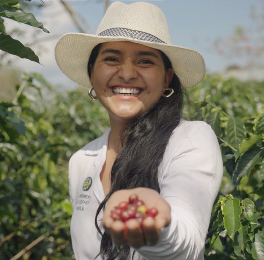 El Bombo Espresso, Colombia (Organic)