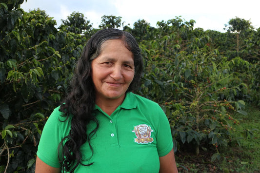 Inspheration Espresso, Colombia & Guatemala