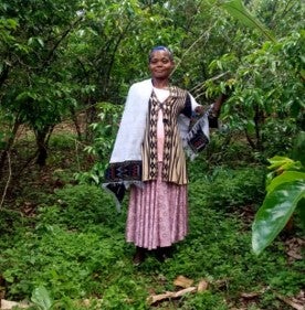 Tarekech Werash Filter, Ethiopia