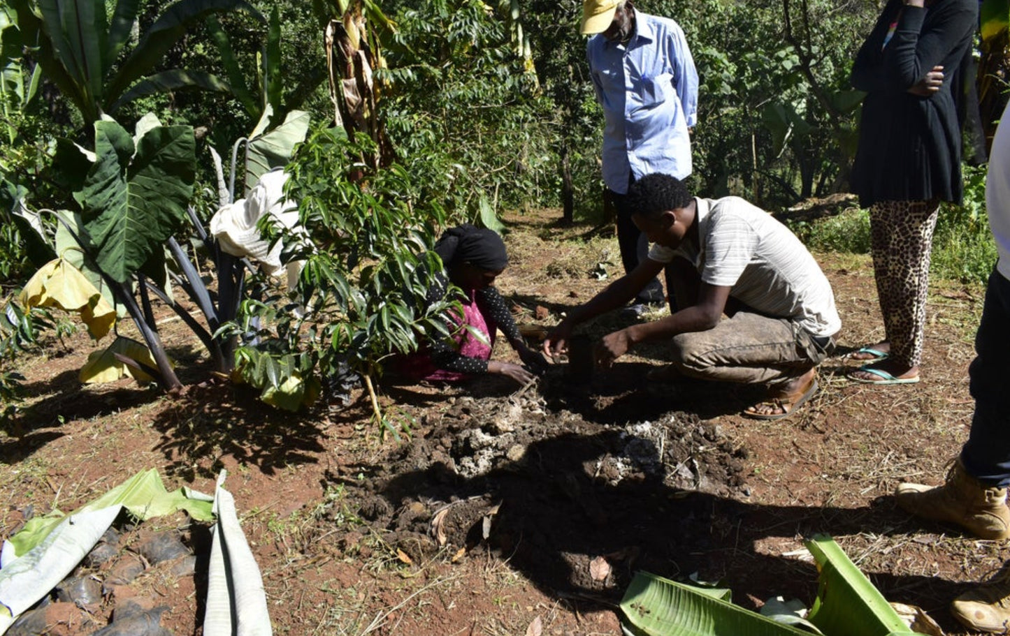 Tarekech Werash Filter, Ethiopia