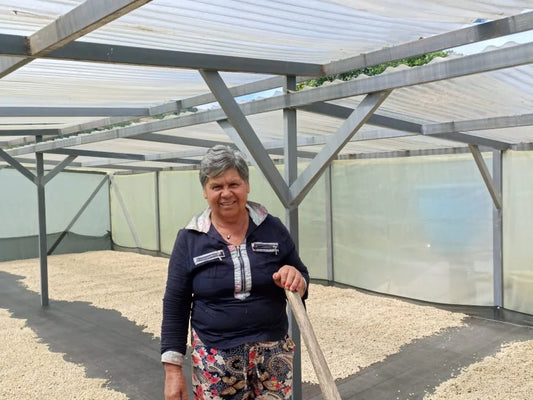 15 Compostable Coffee Pods, Colombia (Organic)