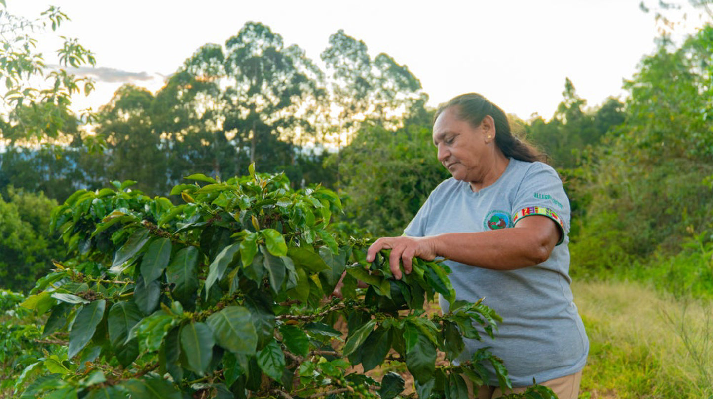 Cosecha de Mujer Espresso, Peru (Organic)