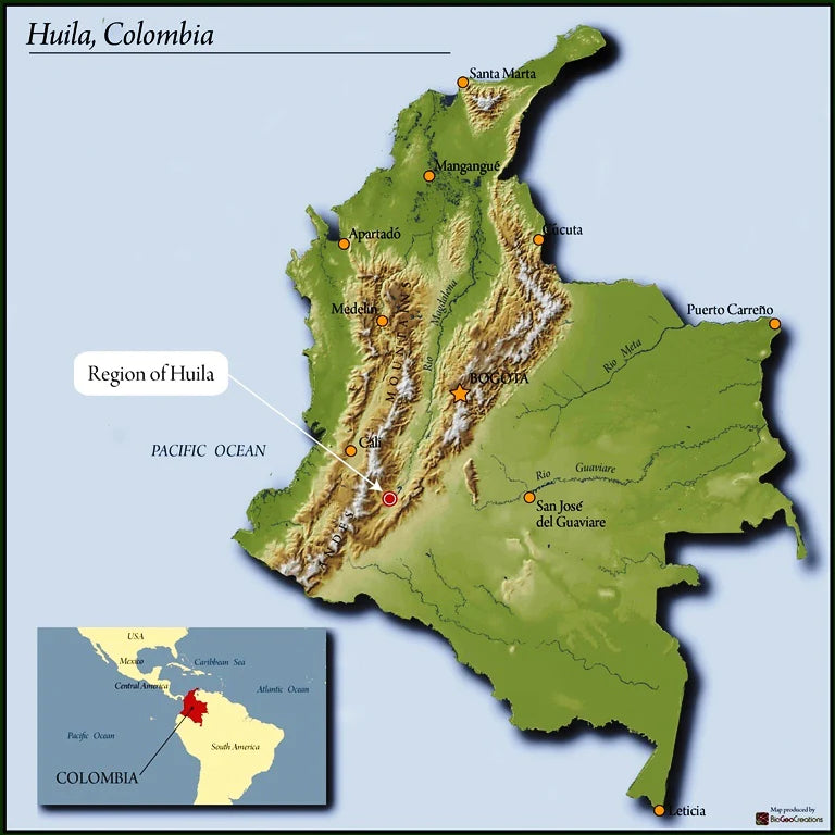 El Bombo Espresso, Colombia (Organic)