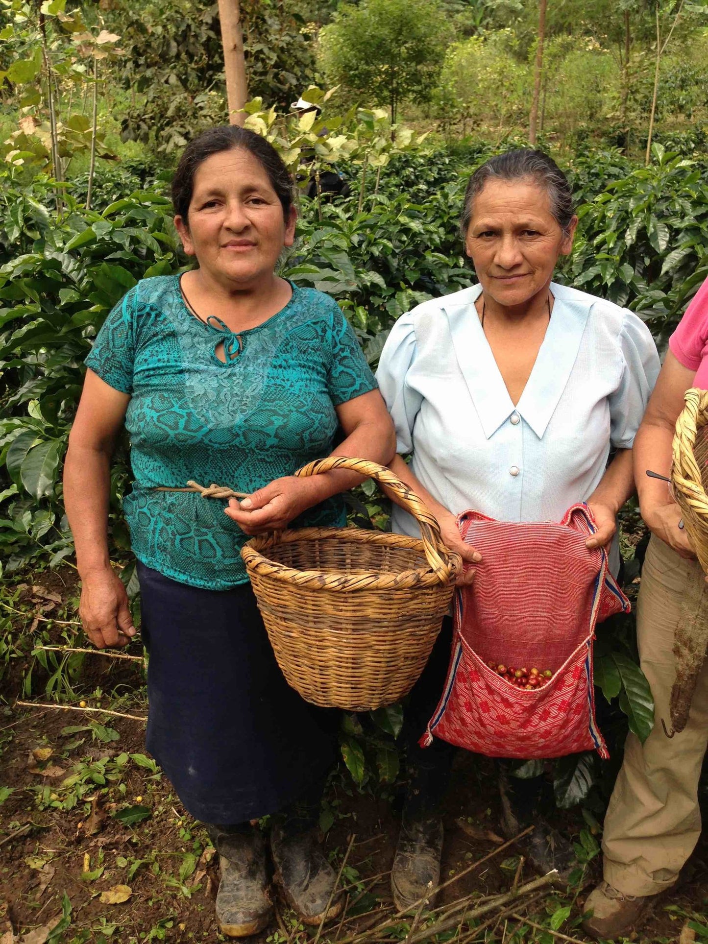 Café Femenino Swiss Water DECAF, Peru (Organic, Fair Trade)