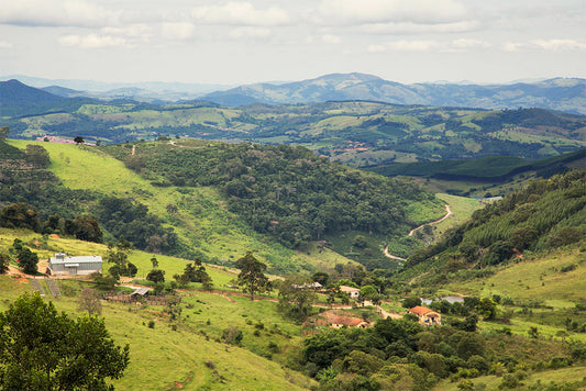 Jacutinga Espresso, Brazil